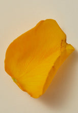 Load image into Gallery viewer, Rose Otto, Fig &amp; Black Pepper
Body Oil
