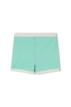 Load image into Gallery viewer, Mini Stripe Surf Short - Aqua
