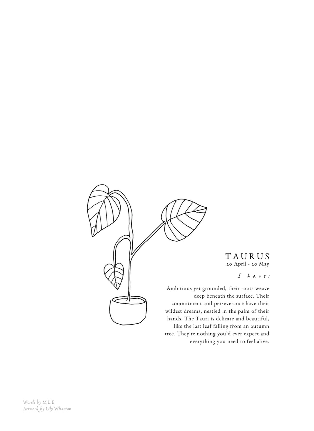 ZODIAC PRINT- Taurus