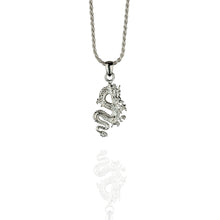 Load image into Gallery viewer, Blossom and Sky Fire Breather Dragon Necklace Silver
